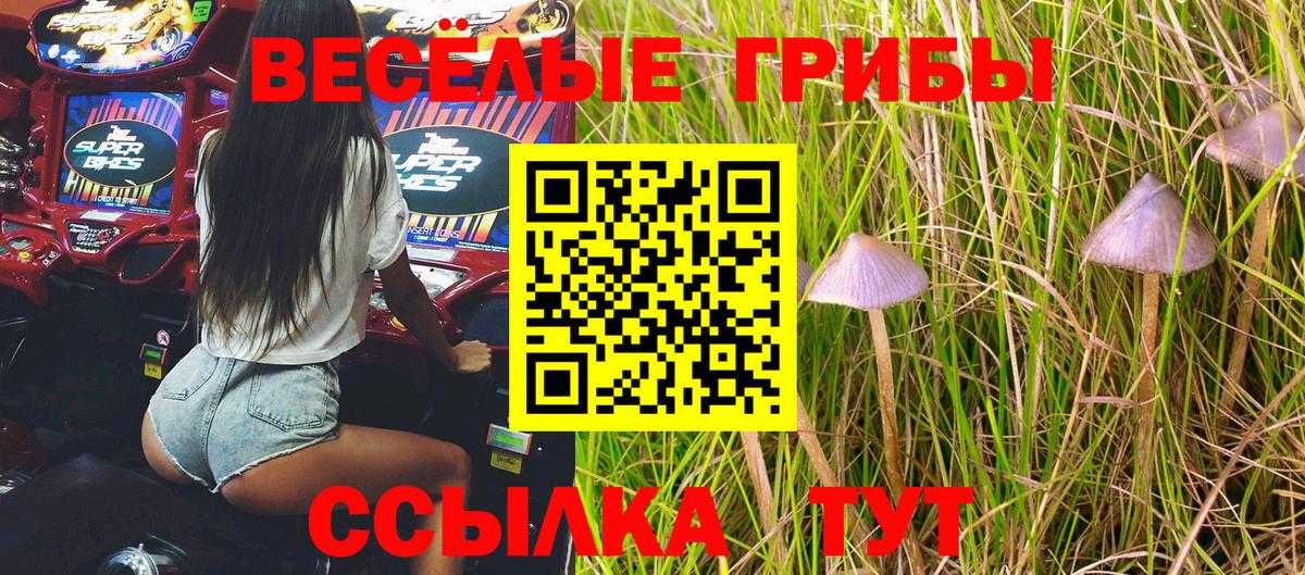 Псилоцибиновые грибы мухоморы  Псилоцибиновые грибы Psilocybe  Вход с VPN  Южно-Сахалинск 
